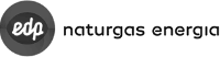 Naturgas Logo